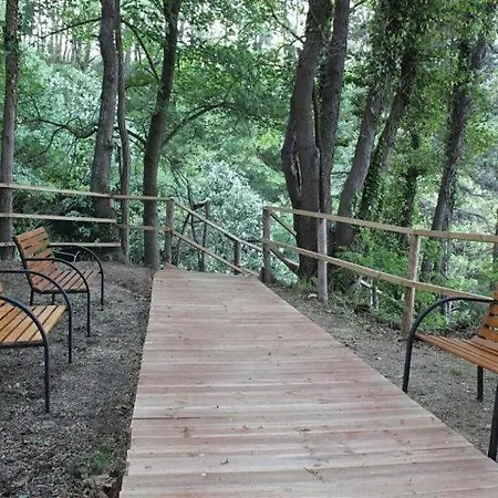 Apartment аппартамент Pines Byala (Varna)